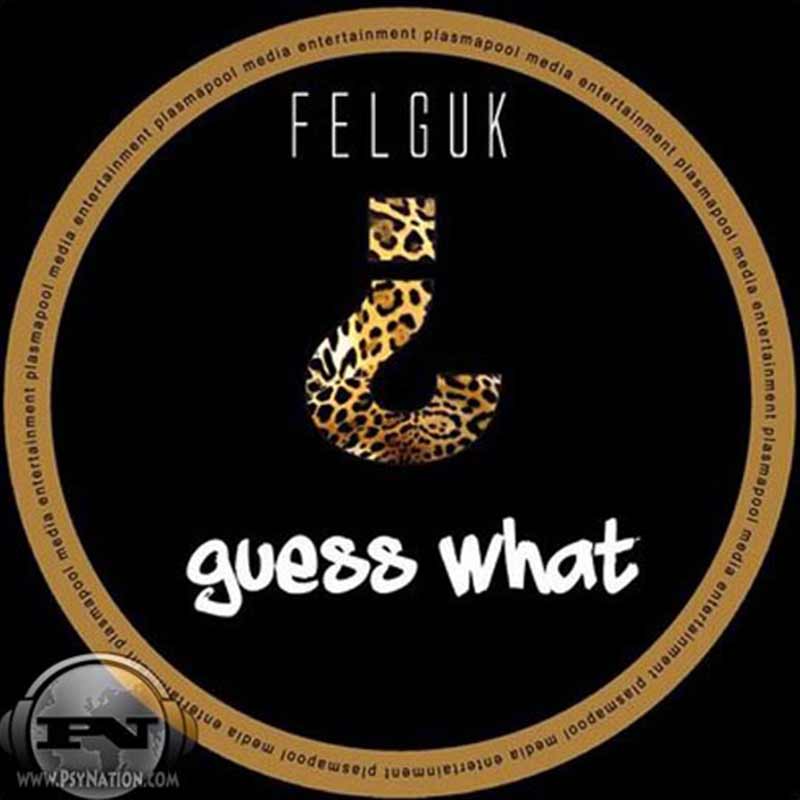 Felguk - Guess What