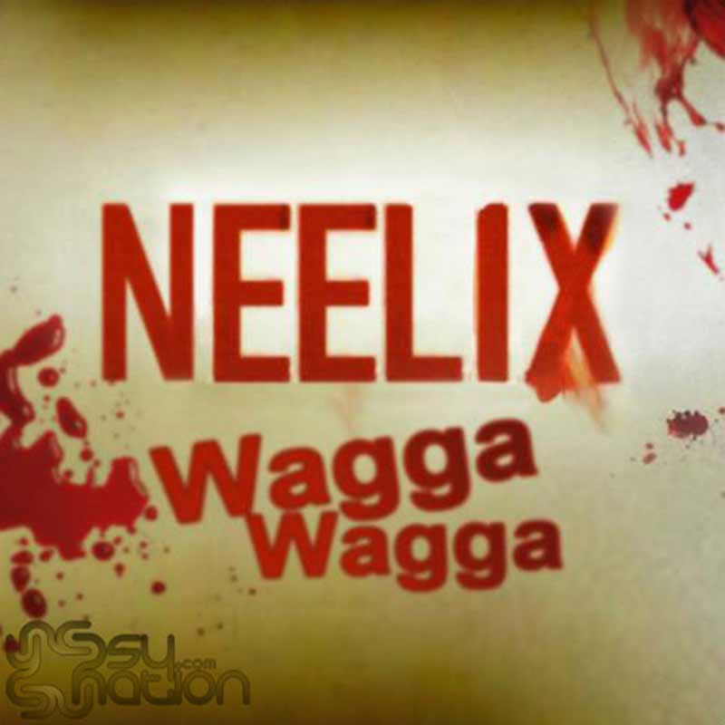 Neelix - Wagga Wagga