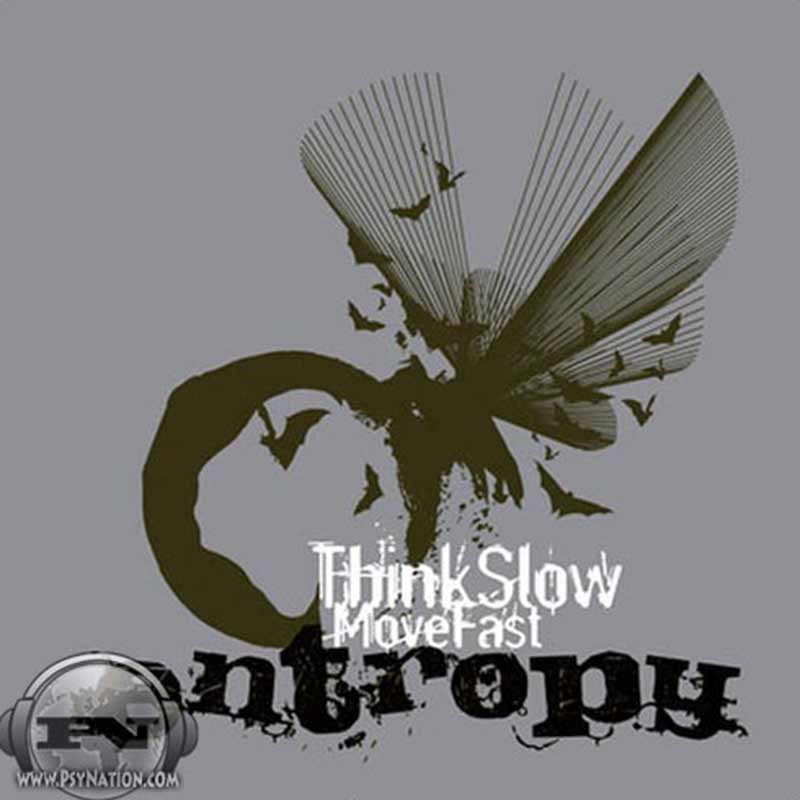 Entropy - Think Slow, Move Fast