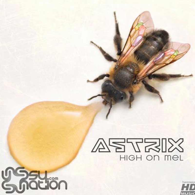 Astrix – High On Mel