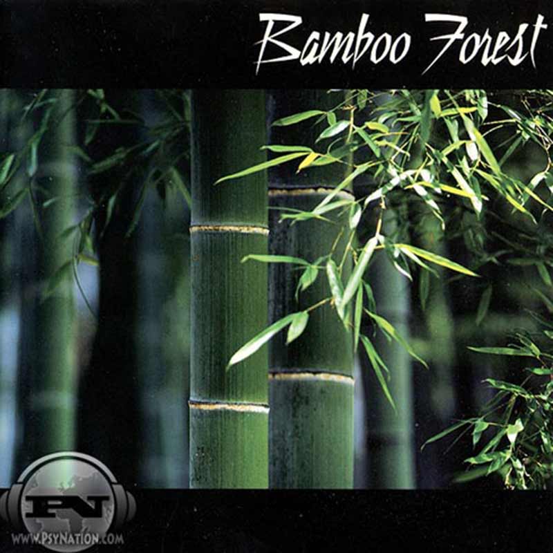 Bamboo Forest - Bamboo Forest