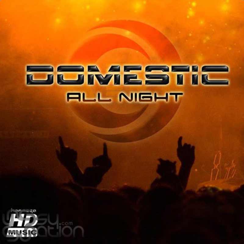 Domestic - All Night