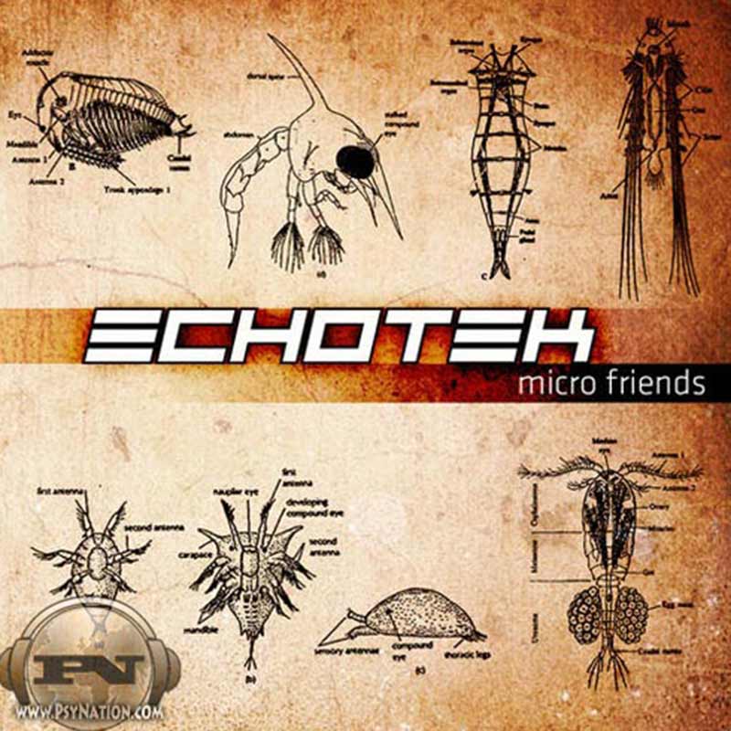 Echotek - Micro Friends
