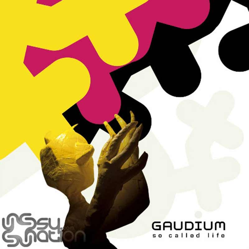 Gaudium - So Called Life