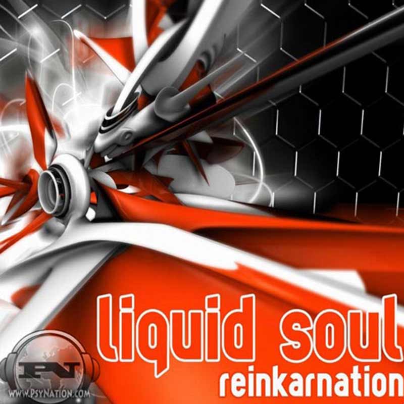 Liquid Soul - Reinkarnation