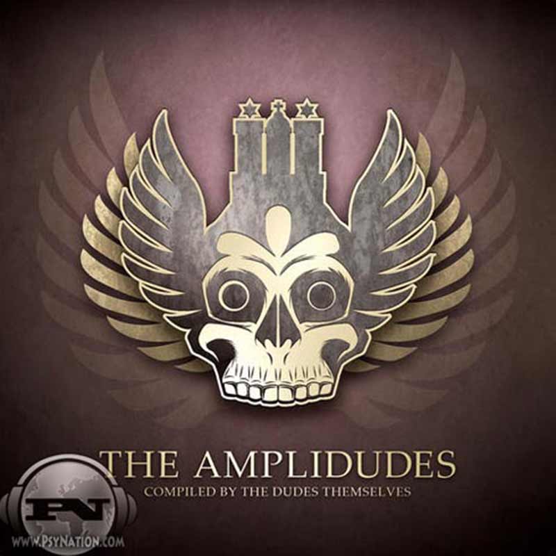 V.A. - The Amplidudes (Compiled by Dudes Themselves)
