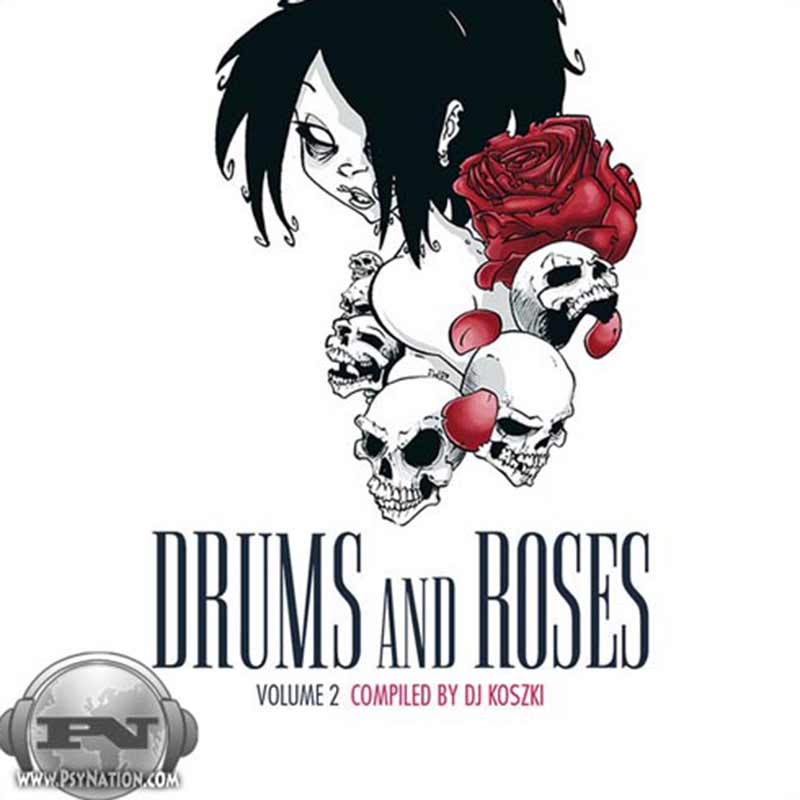 V.A.  - Drums And Roses Vol. 2 (Compiled by DK Koszki)